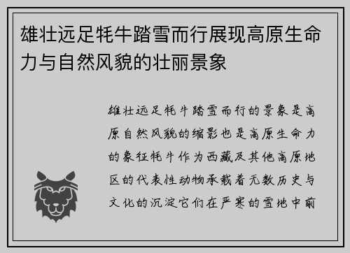 雄壮远足牦牛踏雪而行展现高原生命力与自然风貌的壮丽景象